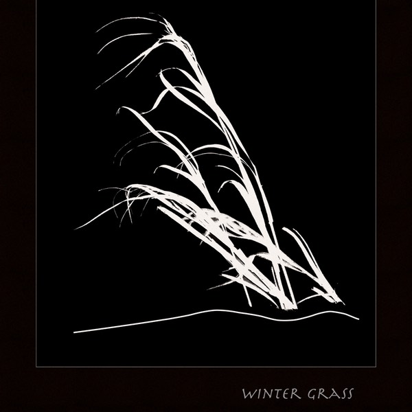 Winter-grass-2-frm-dark,-near-Stoufville,-Ontario,-February-2015_DSC4417